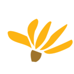 Cactus flower graphic in yellow and brown